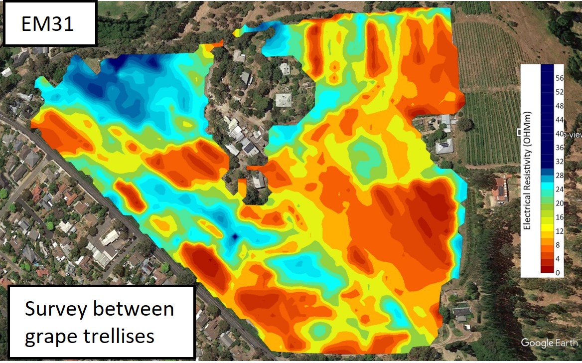 EM31-survey-between-grape-trellises.jpg